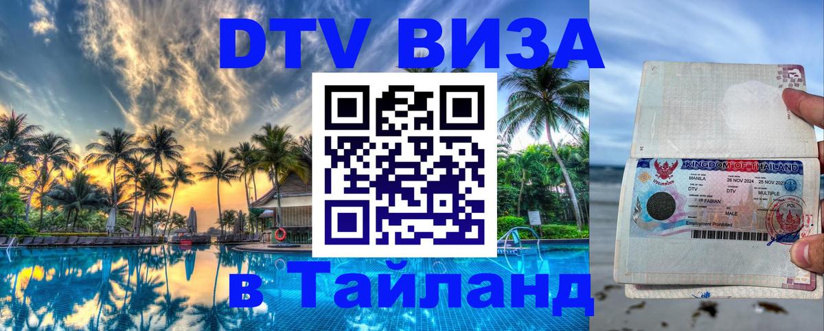 Оформление DTV визы под ключ: стоимость и тарифы, только загранпаспорт - 